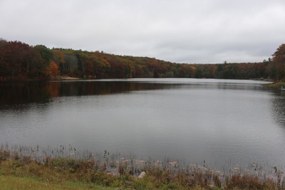 View of the Pond
